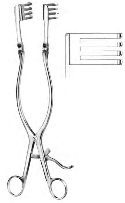 Product Spectrum Beckman-Adson Retractor, 12.25in. (31cm), 4x4 Teeth, Long Teeth, Blunt | SAH.25-9317 Image