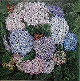 Hydrangeas and Butterflies