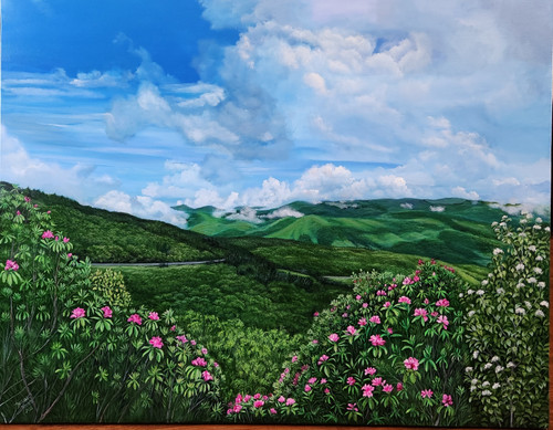 Blue Ridge Mountain Rhododendrons- Sold