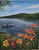 Ohio River Ferry and Mimosa Blooms- Sold