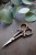 Dragonfly Scissors- Antique Copper