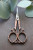 Dragonfly Scissors- Antique Copper