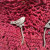 Woodland White Bronze Shawl Stick Pin Brooch