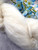 Brushed Merino Silk Undyed Yarn-Lace Weight