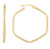 Hexagon Hoop Earrings