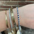 Alternating Diamond and Sapphire Bracelet