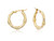 Bamboo Gold Hoops