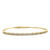 Big and Small Flexible Diamond Bangle