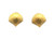 Seashell Earrings