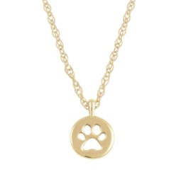 Open Paw Pendant
