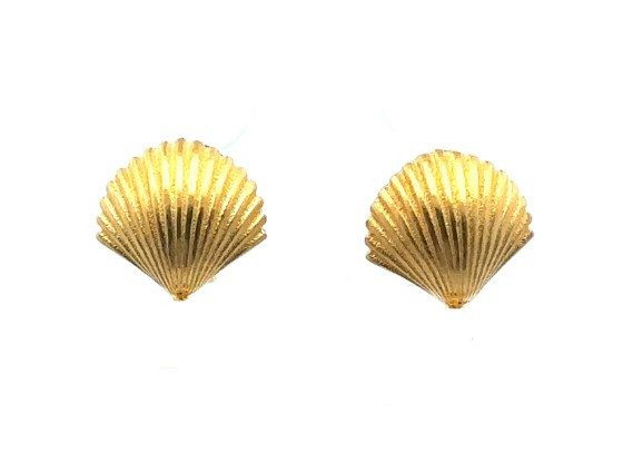 Seashell Earrings