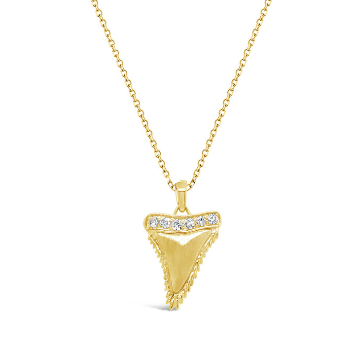 shark tooth jewelry, shark tooth pendant, shark tooth necklace