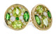 Green With Envy Earrings