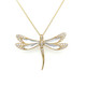 Mother-of-Pearl Dragonfly