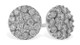 1/2cttw Diamond Cluster Studs