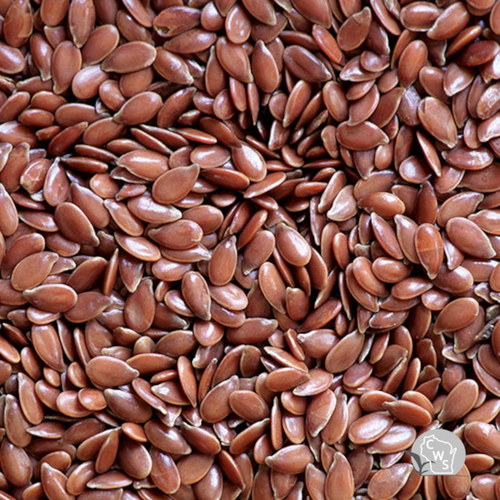 Flax Seed