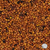Balansa Clover Seed Wisconsin