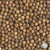 forage pea seed wisconsin