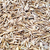 Tall Wheatgrass Seed