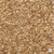 Japanese Millet Seed Raw