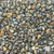 Sun Hemp Seed