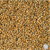Pearl Millet Seed Raw