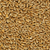Red Soft Winter Wheat Seed