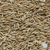 jerry oats seed wisconsin