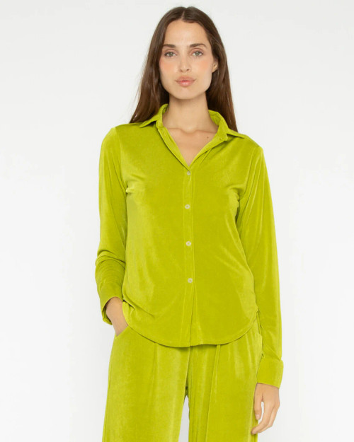 Button Down Shirt