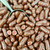 Raspberry Bullets in Milk Chocolate.
The Treat Factory