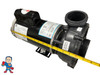 Pump, Waterway Viper, 5.0hp, 230v, 2-spd, 56fr, 2-1/2" x 2-1/2"", OEM
The measurement from the edge of the thread to the edge of the thread on the Suction and Pressure side is 3 11/16"..