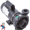 Hi-Flo, Pump, Waterway, 1.0HP called 3.0hp, 230v, 2-Speed, 48 frame, 2" X  2"