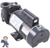 Hi-Flo, Pump, Waterway, 1.0HP called 3.0hp, 230v, 2-Speed, 48 frame, 2" X  2"