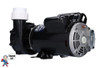 Hot Spring, Watkins, Pump, Vendor Code 4081, 72196, 73023, 2.5HP, 230v,2-spd, 48frame, Wavemaster 9000 9200