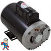 Pump Motor, US Motor, 4.0hp, 230v, 2 Speed, 56 Y Frame, 12 Amp