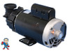 Pump, Sta-Rite, Dura-Jet, DJ, 3.0hp, 230v, 2-spd, 56fr, 2"Side Discharge