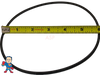 Face O-Ring Intertek LX Pump Jacuzzi Premium & Sundance fits 48 or 56 Frame Replacement Face O-Ring