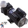Complete Pump, Aqua-Flo, XP2, 2.5HP, 230v, 2-spd, 48frame, 2", 1 or 2 speed 10.7A