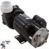 Hot Spring, Watkins, Pump, Vendor Code 4081, 0982601, 2.5HP, 230v,2-spd, 48frame