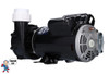 Complete Pump,Watkins, 0982701, 2.0HP, 230v, 48 frame, 2" x 2", 1 or 2 Speed 8.5A, Vendor Code 04281