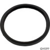 O-Ring, Pentair Am Prod Amerlite, Light Lens, O-170