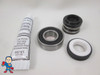 Spa Hot Tub Pump Seal & (1) Bearing Kit for 2.5HP Pump that fits Intertek 2009+ Jacuzzi®  Premium or Sundance® Video How To