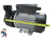 6500-907 LX Circulation Pump WTC50M 230V 2006+ Jacuzzi® J-400 Premium Sundance® 1 1/2" Side Discharge