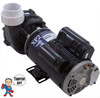 Complete Pump, Watkins, 36674, 2.5HP, 230v, 2-spd, 48frame, 2", 1 or 2 speed 10.0A