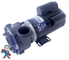 Complete Pump, Aqua-Flo XP2, 1.5HP, 115v,48 frame, 2"x 2", 1 or 2 Speed  13.3A/4.1A