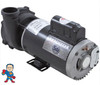 Pump, Waterway Executive, 5.0hp, 230v, 2-spd, 56 frame, 2" X 2"