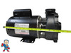 Pump, Waterway Executive, 5.0hp, 230v, 2-spd, 56 frame, 2" X 2"