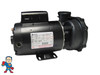 Pump, Waterway Executive, 5.0hp, 230v, 2-spd, 56 frame, 2" X 2"