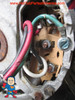 An Example of a 230V (2) Speed Emerson motor wiring on the Motor End:
High Speed Red Wire goes on (H) for High Speed
Common or Neutral White Wires goes on (C) for Common or Neutral.. Note: In this case this wire would be Hot 115V..
Low Speed Black wire goes on (L) for Low Speed
Green goes on 1/4" Screw to the body cover...