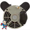 Complete Pump, Sundance or Jacuzzi Theramax II, 06020191-1, 1.65HP, 115v or 230V, 17.0A or 8.5A, 48 frame, 2"x 2", 1 Speed